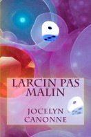 Larcin_Pas_Malin_Cover_for_Kindle