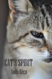 cat's spirit min