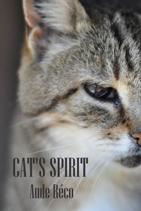 cat's spirit min